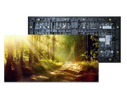 Indoor P1.2 HD LED Display Module
